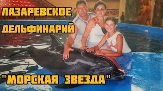 НЕВЕРОЯТНО УМНЫЕ ДЕЛЬФИНЫ 🐬🐬в ЛАЗАРЕВСКОМ 🏖️ ЛАЗАРЕВСКИЙ ДЕЛЬФИНАРИЙ 