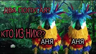 КТО ТАКОЙ ПОПУГАЙ из шоу 
