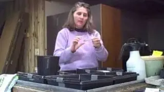 Part 1 Growing from Seed Starting Begins Greenhouse 2011