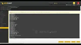 How to do a CLI(command line interface) dump in Betaflight for Niko
