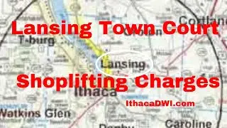 Lansing Town Court, Dealing with Shoplifting (Petit Larceny) Charges