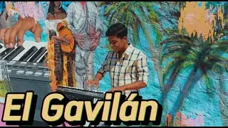 El Gavilán - Jesus Sabino
