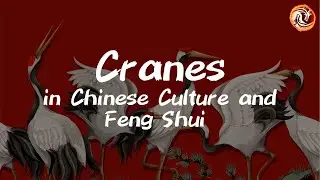 Unlock the Secrets of Cranes in Chinese Culture and Feng Shui