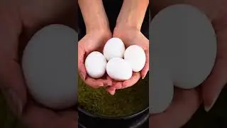 How To Make Pesto Eggs | ZWILLING