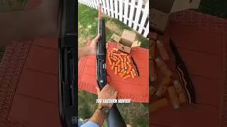 CY Shotgun 