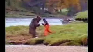salmon comercial