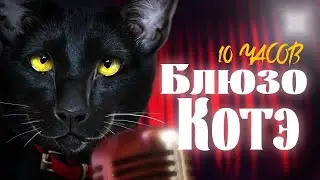 Кот поёт БЛЮЗ целых 10 ЧАСОВ