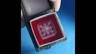 13 марта 2022 г.