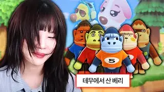 베리가 가고 덤베리가 왔습니다.........🦍🦍🦍 [모동숲 마일섬]