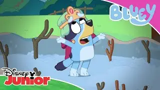The Adventure 🌲 | Bluey 💙 | Disney Junior MENA