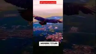 MOMEN LANGKA INI DI ABADIKAN ‼️ KETIKA BERADA DI KETINGGIAN 🐦 #trending #viral