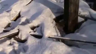 Тайны проклятого погриба!