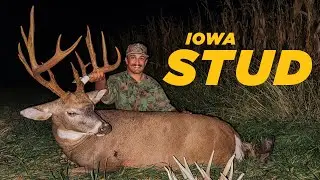 FENCE - Southern Iowa Stud