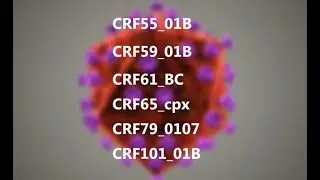 Genetic Diversity and Drug Resistance of HIV-1 CRF55_01B in Guangdong, China