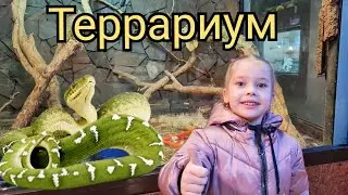Террариум/ Terrarium