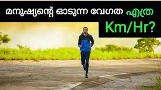 Running Speed Of Human? 