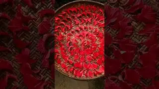 🌺 Time to dry them and make TEA! ❤️🌺 | Traditional Me