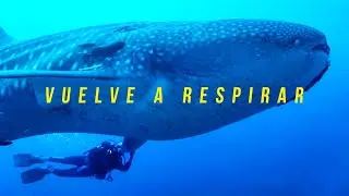 #VuelveARespirar - Explora Galápagos