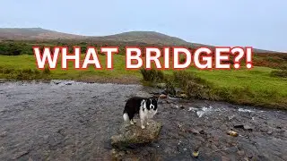 Can You Handle the BRIDGE Crossing Challenge?