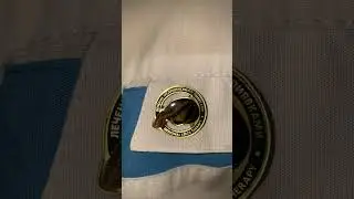 Значок пиявка ( Константин Сухов сам их разработал и вручает при выдаче диплома ученикам )