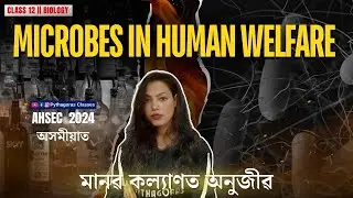 Class 12 Biology | Microbes in Human Welfare | Chapter 8 Full Explanation
