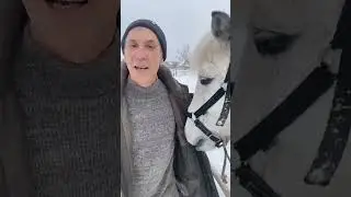 Каждый видит 