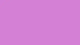 Lotus Pink Screen for 1 Hour in full HD 4K !