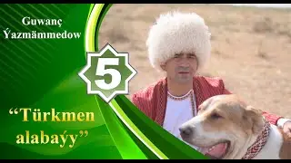Guwanç Ýazmämmedow - Türkmen alabaýy