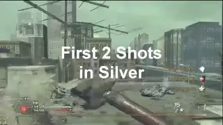 Miko - My First 2 Shots in Silver