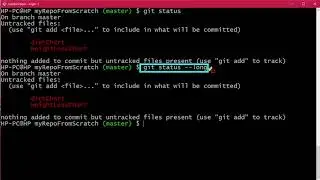028 How to check status in a Git Repository Lab