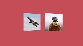 3D  Hover Effect | Parallax Effect On Hover Using Html and CSS