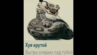 лучшие древние украинские пословицы в одном видео 1!!!1!11 