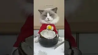 Happy weekend - watch this before you start partying!!! 🤠 