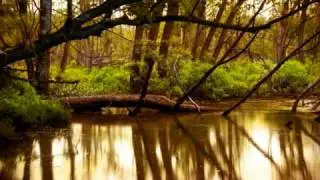 David Lanz - Variations on a Theme From Pachelbel's Canon in D Major