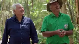 Better Homes & Gardens Visit The North Coast Regional Botanic Gardens Part One