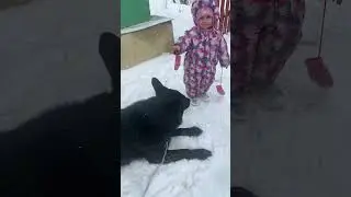 С детства в теме 🧒❤️ 🐺