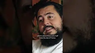 Why I left Mexico... 