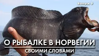 Рыбалка в Норвегии. Донные оснастки