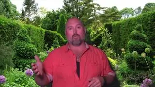 Upside Down Tomato Plants!