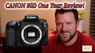 Canon 90d One Year Review