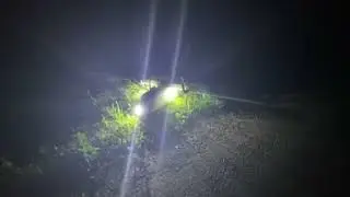Посадка ночью на узкую обочину
