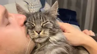 🔊Why Cats Are Better Than Dogs 😸 You Can't Argue With These 🐾