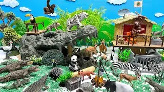 Safari Africa Animals With Crocodile Cave | Tiger Panda kangaroo Turtle Fish