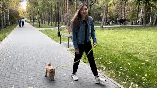 Октябрьский влог🍁Распаковка🍁День рождение
