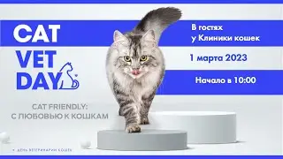 Cat friendly: С любовью к кошкам