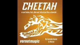 Cheetah by Germán Dabat & Michel