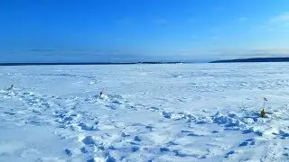 Рыбалка берша 23 февраля & покатушки на снежнике.