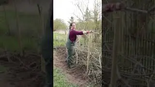 Das Benjeshecken-Problem