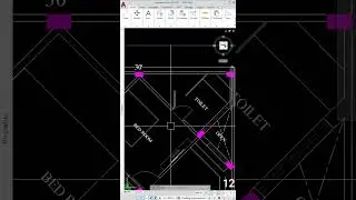 AutoCAD Scale tool. 