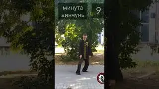 Минута винчунь 9. Шаги назад в пинсанма 